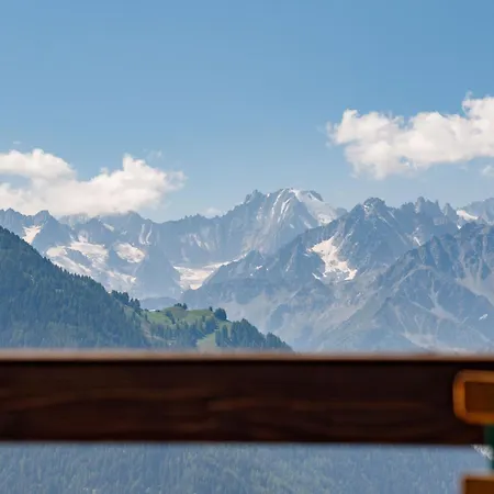 Florissant 117 公寓 *